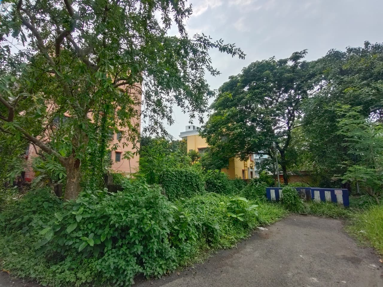 3 Katha Freehold HIDCO Corner Plot — Action Area I