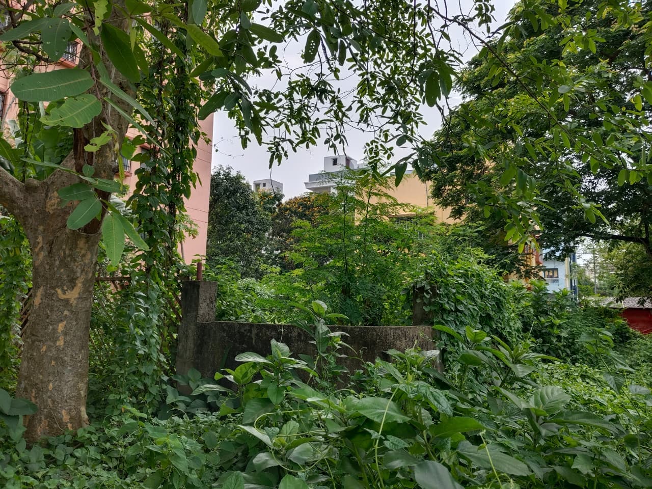 3 Katha Freehold HIDCO Corner Plot — Action Area I — Photo 5
