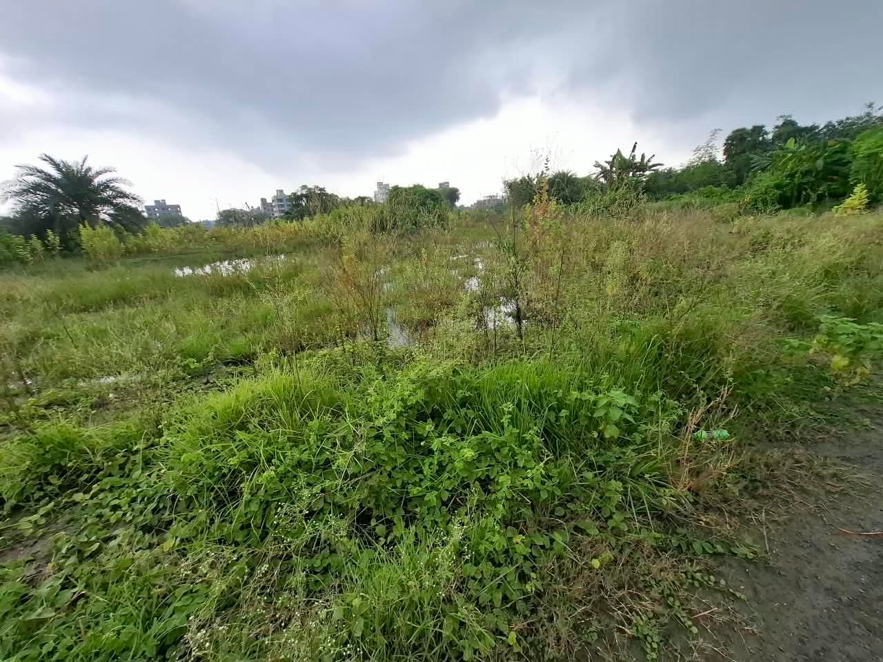4.5 Katha Individual HIDCO Plot — Action Area 3G — Photo 6